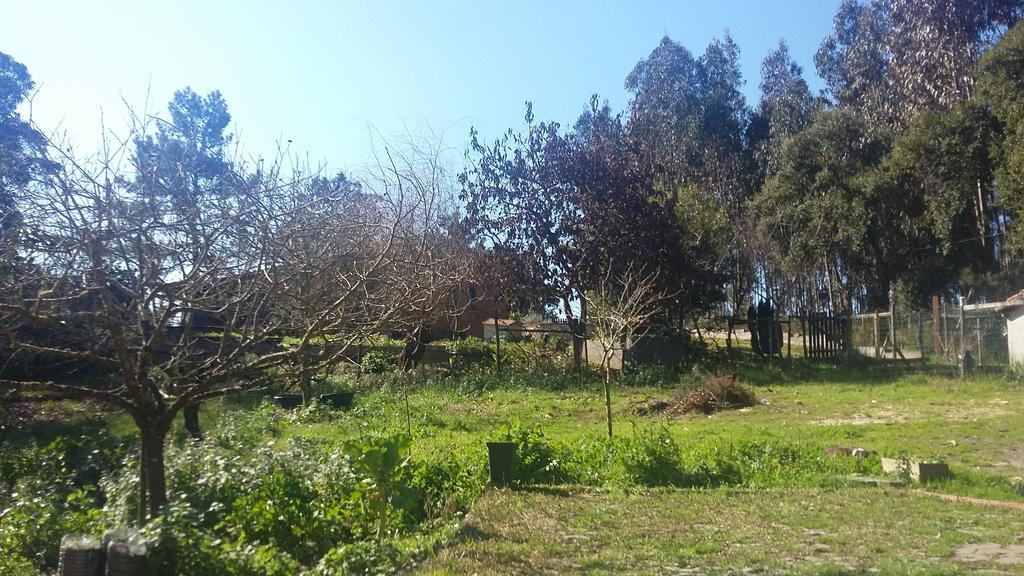 Ecobosque Villa Nadadouro Eksteriør bilde